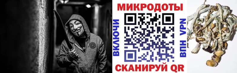 Псилоцибиновые грибы ЛСД  Билибино 
